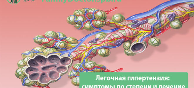 Легочное сердце – симптомы и диагностика, лечение и прогноз