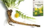 Растения при гипертонии, травы для снижения артериального давления и состав сборов