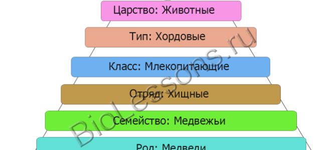 Инструкция по применению препарата «Энам»: показания и противопоказания, дозы и состав