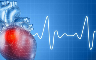 Сердечно-сосудистые заболевания – какие они бывают, их основные признаки и симптомы, методы обследования и дальнейшее лечение