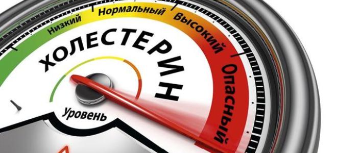 Липостат: инструкция по применению, цена, отзывы, аналоги лекарства и влияние на холестерин