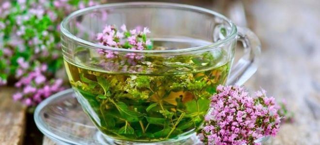 Чем отличается астма от бронхита: симптомы, диагностика, лечение