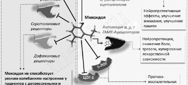 “Мексидол” при ВСД — эффективность, отзывы и дозы