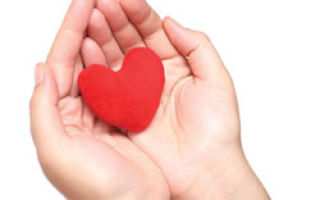 Дополнительная хорда в левом желудочке сердца: о чем это говорит и на что влияет