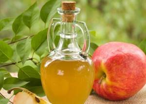 Применение яблочного уксуса для снижения холестерина