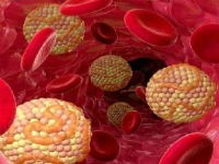 Хороший и плохой холестерин в анализе крови (ЛПВП и ЛПНП): что это такое, нормы полезных и вредных липопротеинов