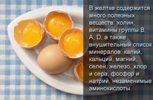 Яйца и холестерин: можно ли есть, новые исследования, сколько холестерина в куриных яйцах