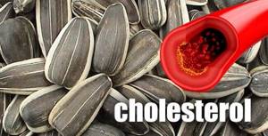 Семечки подсолнуха и холестерин: можно ли есть, польза и вред