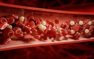 Триглицериды в крови повышены: что это значит у женщин и мужчин, причины, как снизить, лечение
