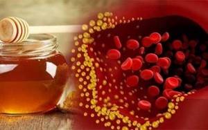 Мед и холестерин: можно ли есть мед при повышенном холестерине в крови