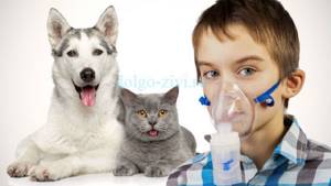 Как лечить астму у ребенка: особенности заболевания и методы терапии