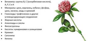 Клевер от холестерина: как принимать, рецепт на водке, лечебные свойства