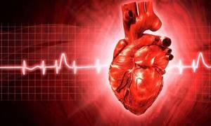 Стентирование сосудов сердца: сколько живут после операции, отзывы и реабилитация