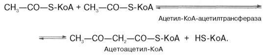 Синтез холестерина: формула (структурная, химическая) и биохимия процесса