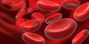 Высокий гемоглобин и холестерин у женщин и мужчин в анализе крови