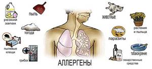Смешанная астма: причины, симптомы, лечение, прогноз и профилактика