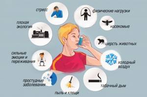 Температура при бронхиальной астме: причины повышения и лечение