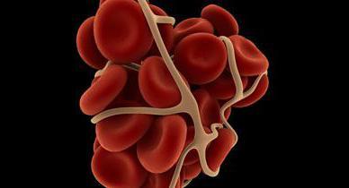 Хилез крови: что это такое, причины, симптомы и лечение липемии