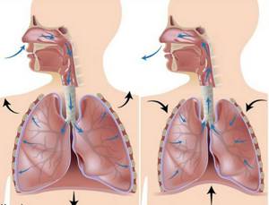 Дыхательная гимнастика Бутейко при астме: методика, техника, виды упражнений