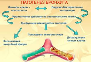 Астматический бронхит: классификация, причины, симптомы, лечение