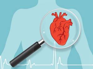 Увеличение левого желудочка сердца: причины и лечение, последствия
