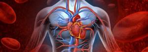Статьи и материалы про сердечную недостаточность