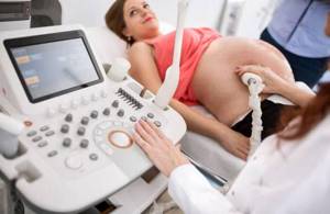 УЗИ сердца плода при беременности: зачем и на каком сроке делают