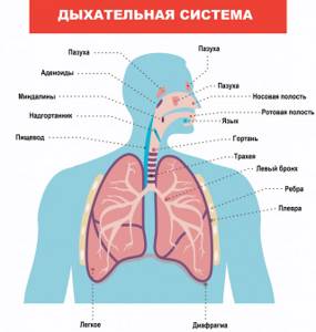 Лечение одышки при сердечной недостаточности - как избавиться и что принимать