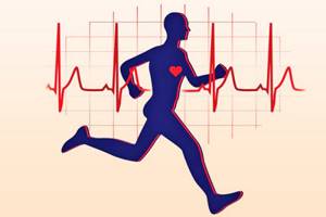 Болит сердце после тренировки и физических нагрузок