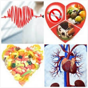 Диета и рациональное питание при болезнях сердечно-сосудистой системы
