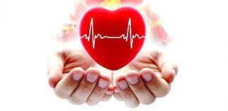 Как укрепить сердце и сосуды в домашних условиях физическими упражнениями и питанием: советы кардиолога