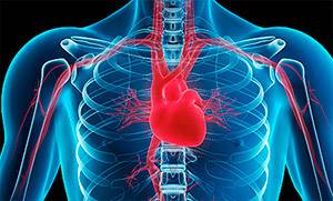 Диагностика, анализы и другие обследования в кардиологии