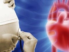 Гиперэхогенный фокус в левом желудочке сердца плода: причины и действия