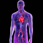 Нестенозирующий и стенозирующий атеросклероз брахиоцефальных артерий