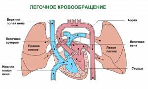 Признаки сердечной недостаточности у женщин - симптомы, диагностика и лечение после 40, 50 лет