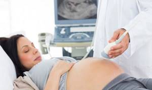УЗИ сердца плода при беременности: зачем и на каком сроке делают