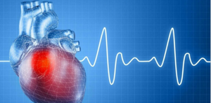 Сердечно-сосудистые заболевания - какие они бывают, их основные признаки и симптомы, методы обследования и дальнейшее лечение